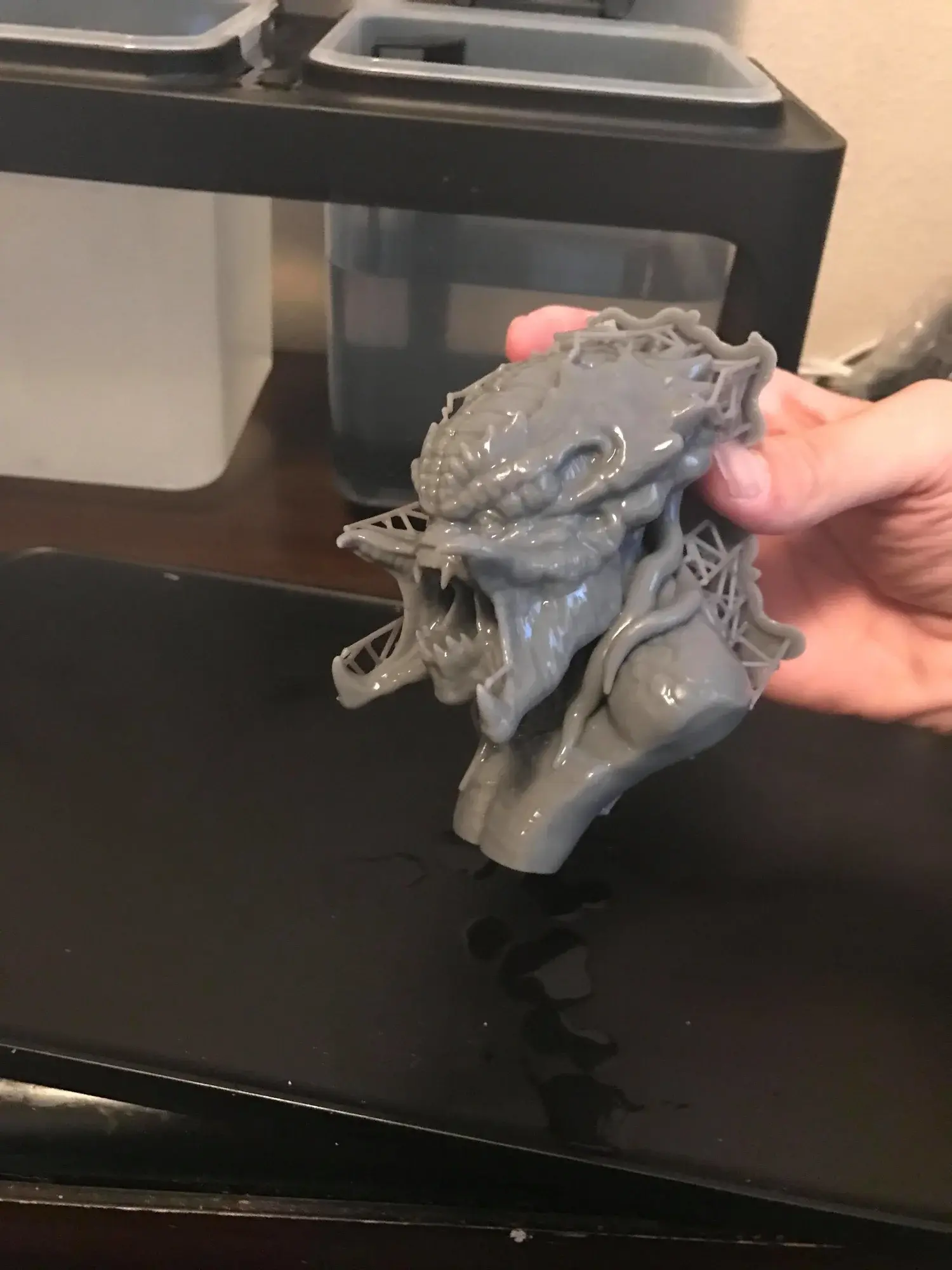 Predator Bust